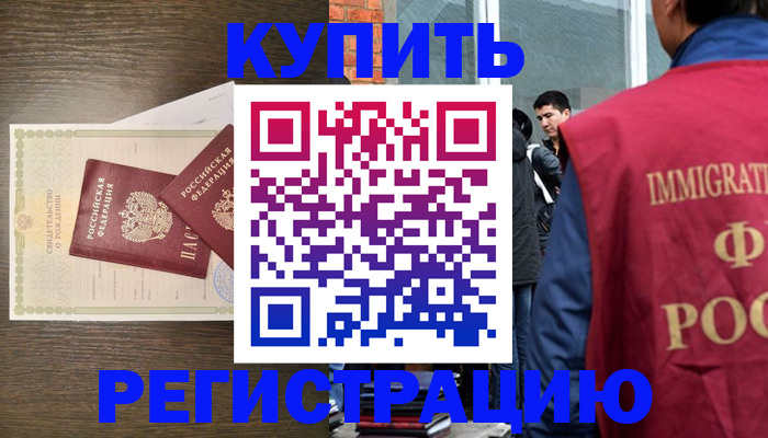 прописка для школы в Барыше